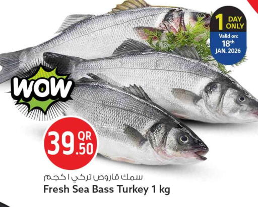 available at سفاري هايبر ماركت in قطر - الشمال