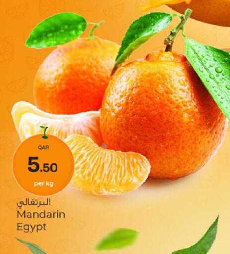 Mandarin from Egypt available at باريس هايبرماركت in قطر - الخور