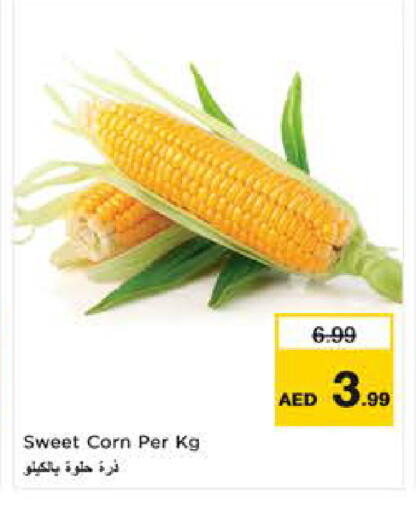 available at نستو هايبرماركت in الإمارات العربية المتحدة , الامارات - ٱلْعَيْن‎