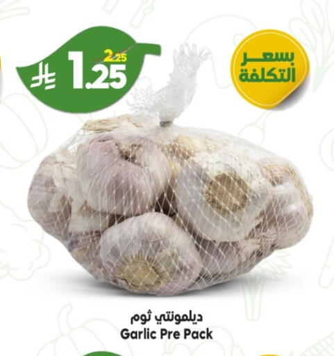 Garlic available at الدكان in مملكة العربية السعودية, السعودية, سعودية - ينبع