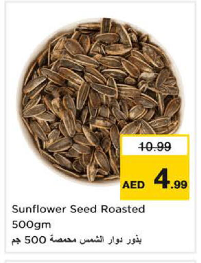 available at لاست تشانس in الإمارات العربية المتحدة , الامارات - ٱلْفُجَيْرَة‎