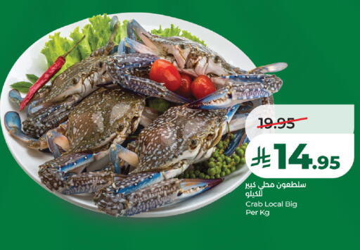 available at لولو هايبرماركت in مملكة العربية السعودية, السعودية, سعودية - الخبر‎
