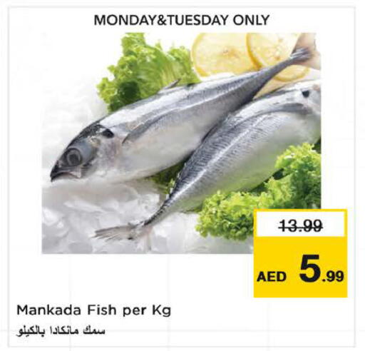 available at نستو هايبرماركت in الإمارات العربية المتحدة , الامارات - الشارقة / عجمان