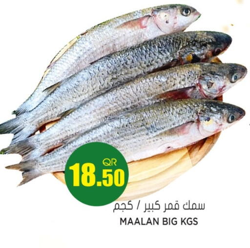 available at جراند هايبرماركت in قطر - الريان