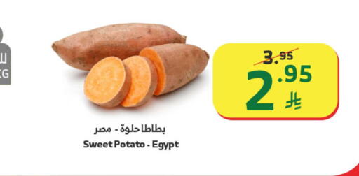 Sweet Potato from Egypt available at Al Raya in KSA, Saudi Arabia, Saudi - Abha