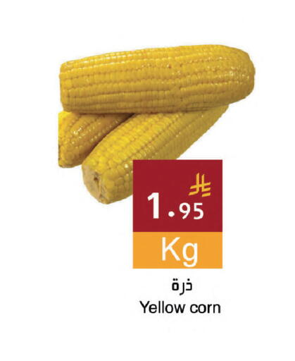 available at Hala Markets in KSA, Saudi Arabia, Saudi - Dammam