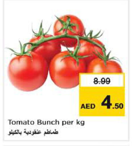 Tomato available at نستو هايبرماركت in الإمارات العربية المتحدة , الامارات - الشارقة / عجمان