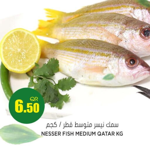 available at جراند هايبرماركت in قطر - الريان