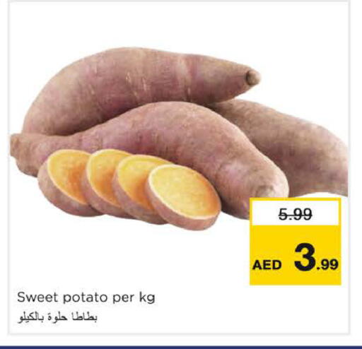 Sweet Potato available at نستو هايبرماركت in الإمارات العربية المتحدة , الامارات - دبي