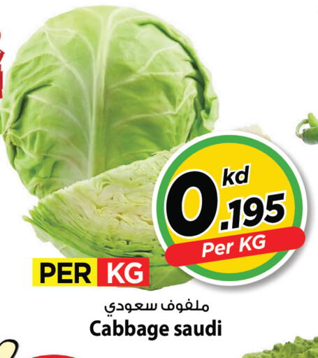Cabbage from Saudi Arabia available at مارك & سايف in الكويت - مدينة الكويت