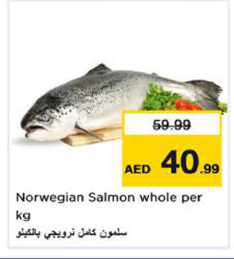 available at نستو هايبرماركت in الإمارات العربية المتحدة , الامارات - الشارقة / عجمان