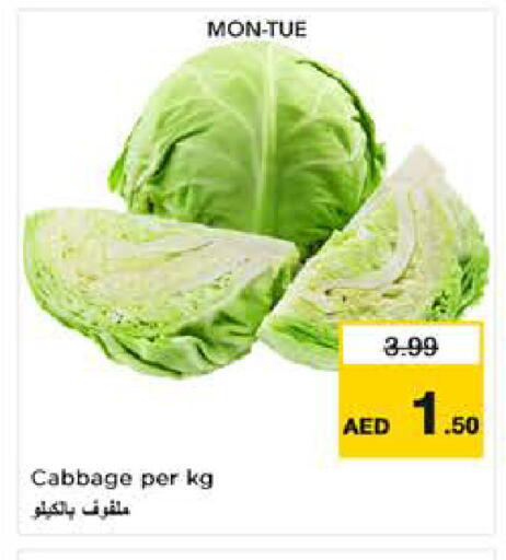 Cabbage available at نستو هايبرماركت in الإمارات العربية المتحدة , الامارات - ٱلْعَيْن‎