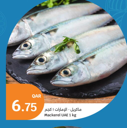 available at City Hypermarket in Qatar - Al Rayyan