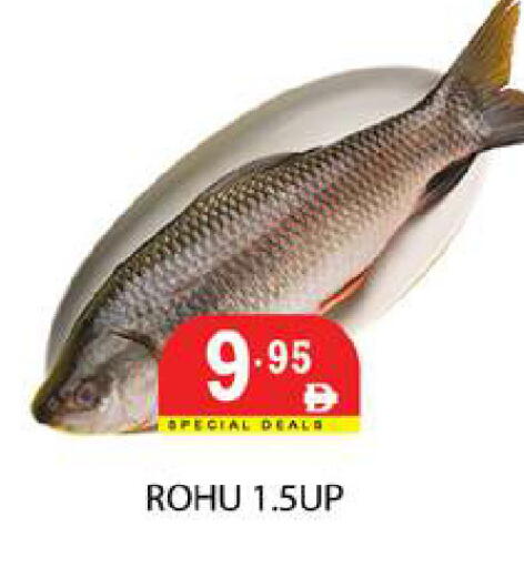 available at زين مارت سوبرماركت in الإمارات العربية المتحدة , الامارات - رَأْس ٱلْخَيْمَة