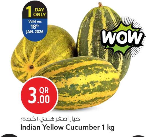 Cucumber available at سفاري هايبر ماركت in قطر - الدوحة