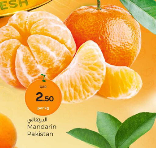 Mandarin from Pakistan available at باريس هايبرماركت in قطر - الخور