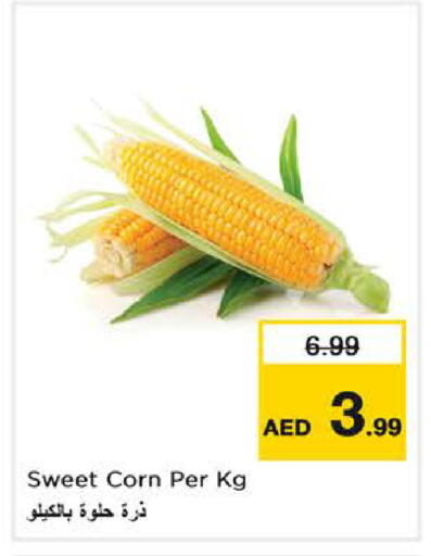 available at Last Chance  in UAE - Fujairah