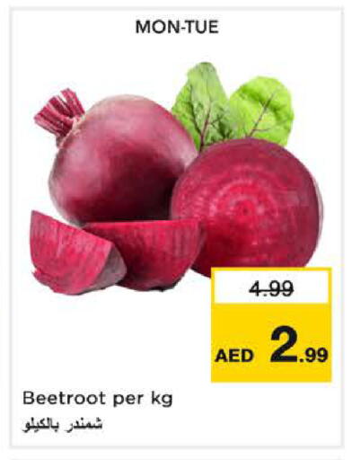 Beetroot available at لاست تشانس in الإمارات العربية المتحدة , الامارات - ٱلْفُجَيْرَة‎