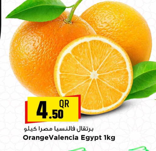 from Egypt available at مرزا هايبرماركت in قطر - الخور