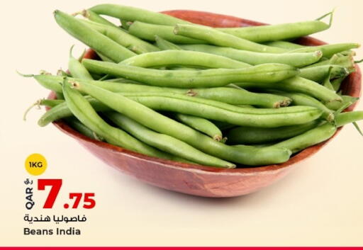 from India available at روابي هايبرماركت in قطر - الشمال