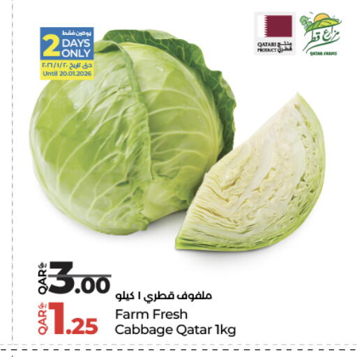 Cabbage from Qatar available at لولو هايبرماركت in قطر - الدوحة
