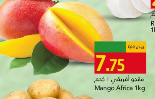 Mango available at Gulf Food Center in Qatar - Al Rayyan
