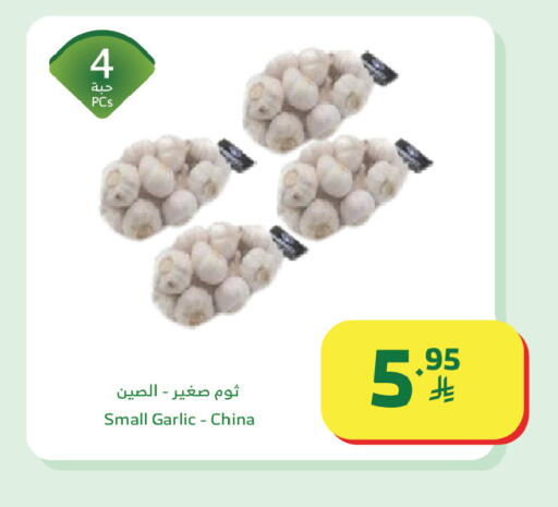 Garlic from China available at Al Raya in KSA, Saudi Arabia, Saudi - Yanbu