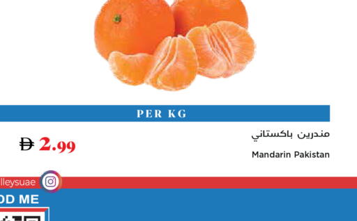 Mandarin from Pakistan available at تروليز سوبرماركت in الإمارات العربية المتحدة , الامارات - الشارقة / عجمان