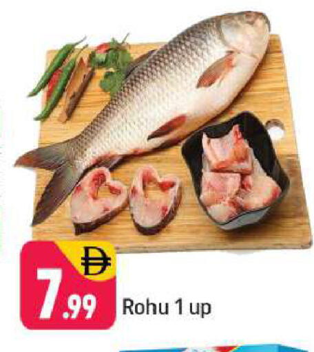 available at Shaklan  in UAE - Dubai