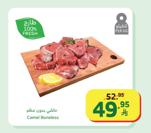 available at الراية in مملكة العربية السعودية, السعودية, سعودية - تبوك