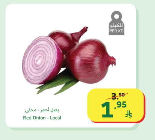 Onion available at الراية in مملكة العربية السعودية, السعودية, سعودية - مكة المكرمة