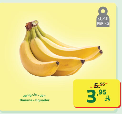 Banana available at Al Raya in KSA, Saudi Arabia, Saudi - Medina