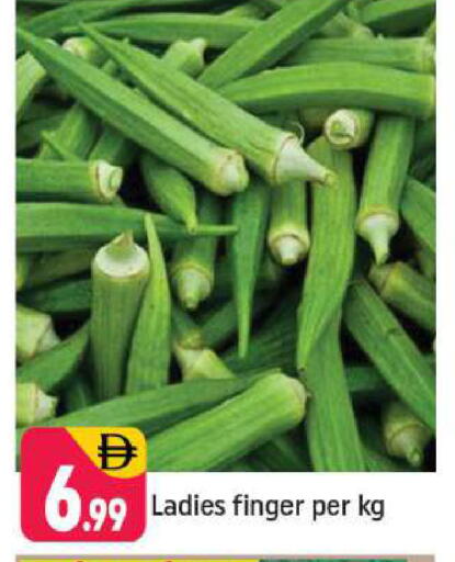 available at شكلان ماركت in الإمارات العربية المتحدة , الامارات - دبي