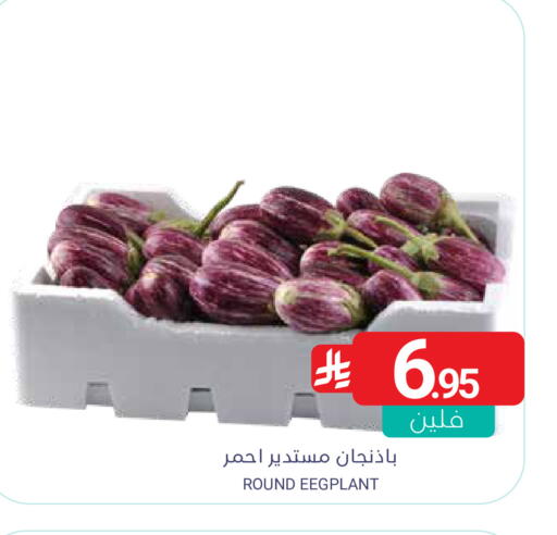 available at Muntazah Markets in KSA, Saudi Arabia, Saudi - Saihat
