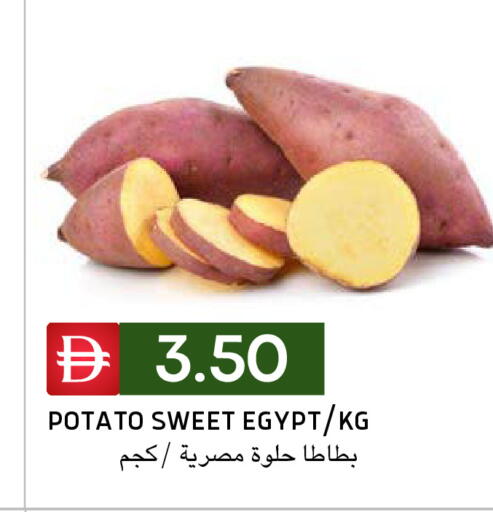 Potato from Egypt available at سيليكت ماركت in الإمارات العربية المتحدة , الامارات - أبو ظبي