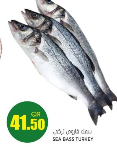 available at جراند هايبرماركت in قطر - أم صلال