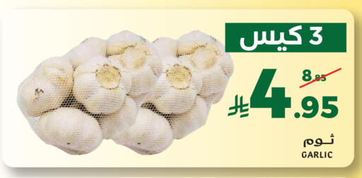 Garlic available at Mira Mart Mall in KSA, Saudi Arabia, Saudi - Jeddah