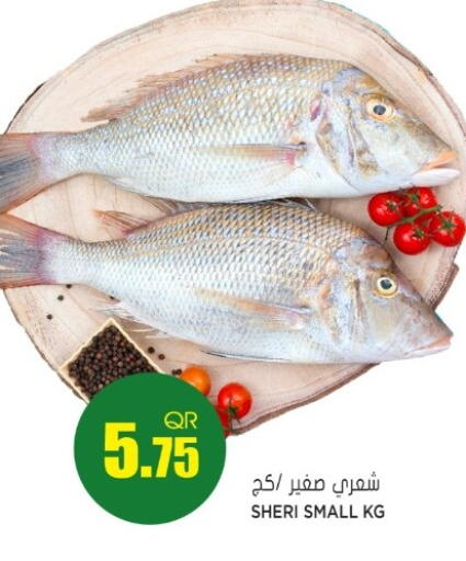 available at Grand Hypermarket in Qatar - Doha