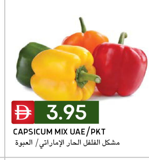 Capsicum available at سيليكت ماركت in الإمارات العربية المتحدة , الامارات - أبو ظبي