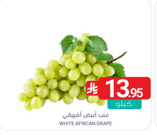 available at Muntazah Markets in KSA, Saudi Arabia, Saudi - Saihat