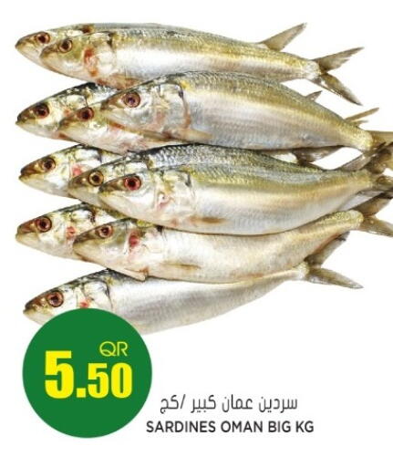 available at جراند هايبرماركت in قطر - الوكرة