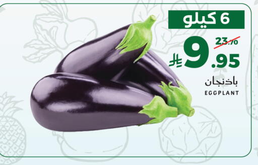 Eggplant available at Mira Mart Mall in KSA, Saudi Arabia, Saudi - Jeddah