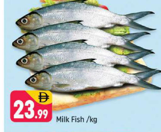 available at Shaklan  in UAE - Dubai