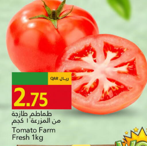 Tomato available at جلف فود سنتر in قطر - الدوحة