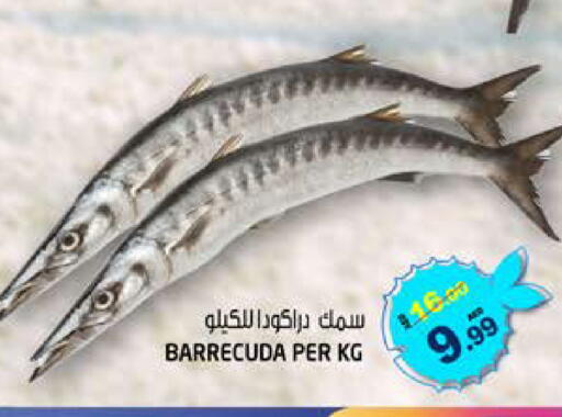 available at هاشم هايبرماركت in الإمارات العربية المتحدة , الامارات - الشارقة / عجمان