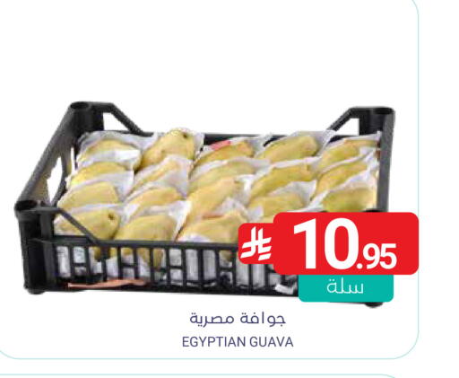 Guava from Egypt available at Muntazah Markets in KSA, Saudi Arabia, Saudi - Saihat