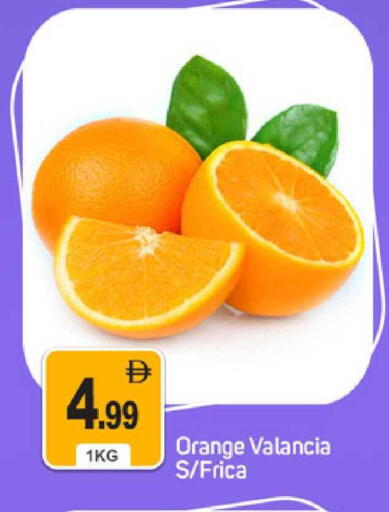 Orange from Valancia available at TALAL MARKET in UAE - Dubai
