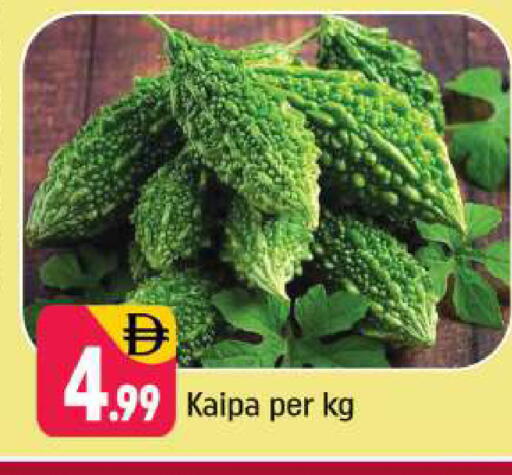 available at شكلان ماركت in الإمارات العربية المتحدة , الامارات - دبي