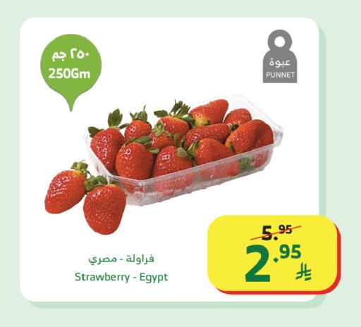 Strawberry from Egypt available at الراية in مملكة العربية السعودية, السعودية, سعودية - أبها