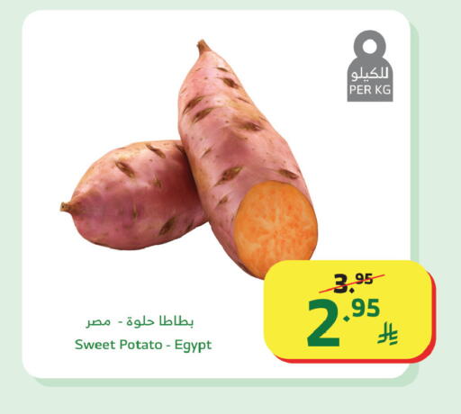 Sweet Potato from Egypt available at Al Raya in KSA, Saudi Arabia, Saudi - Bishah